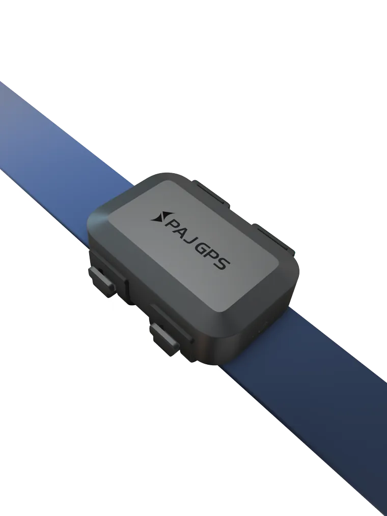 PAJ PET Finder 4G Mini GPS-Tracker am Hundehalsband
