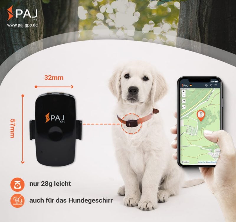 GPS Tracker für Haustiere online bestellen PAJGPS Deutschland