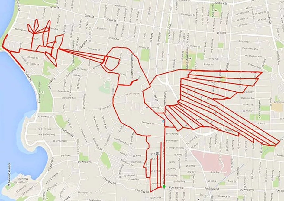 Stadtkarte mit einer Route, die einen Kolibri zeichnet