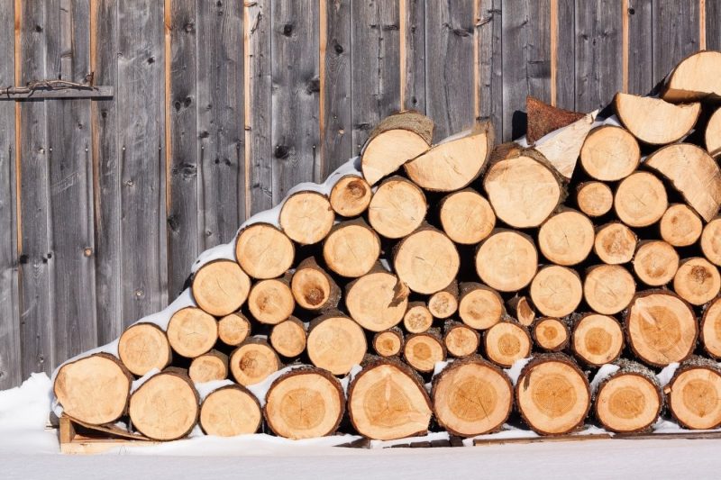 GPS tracker holz​