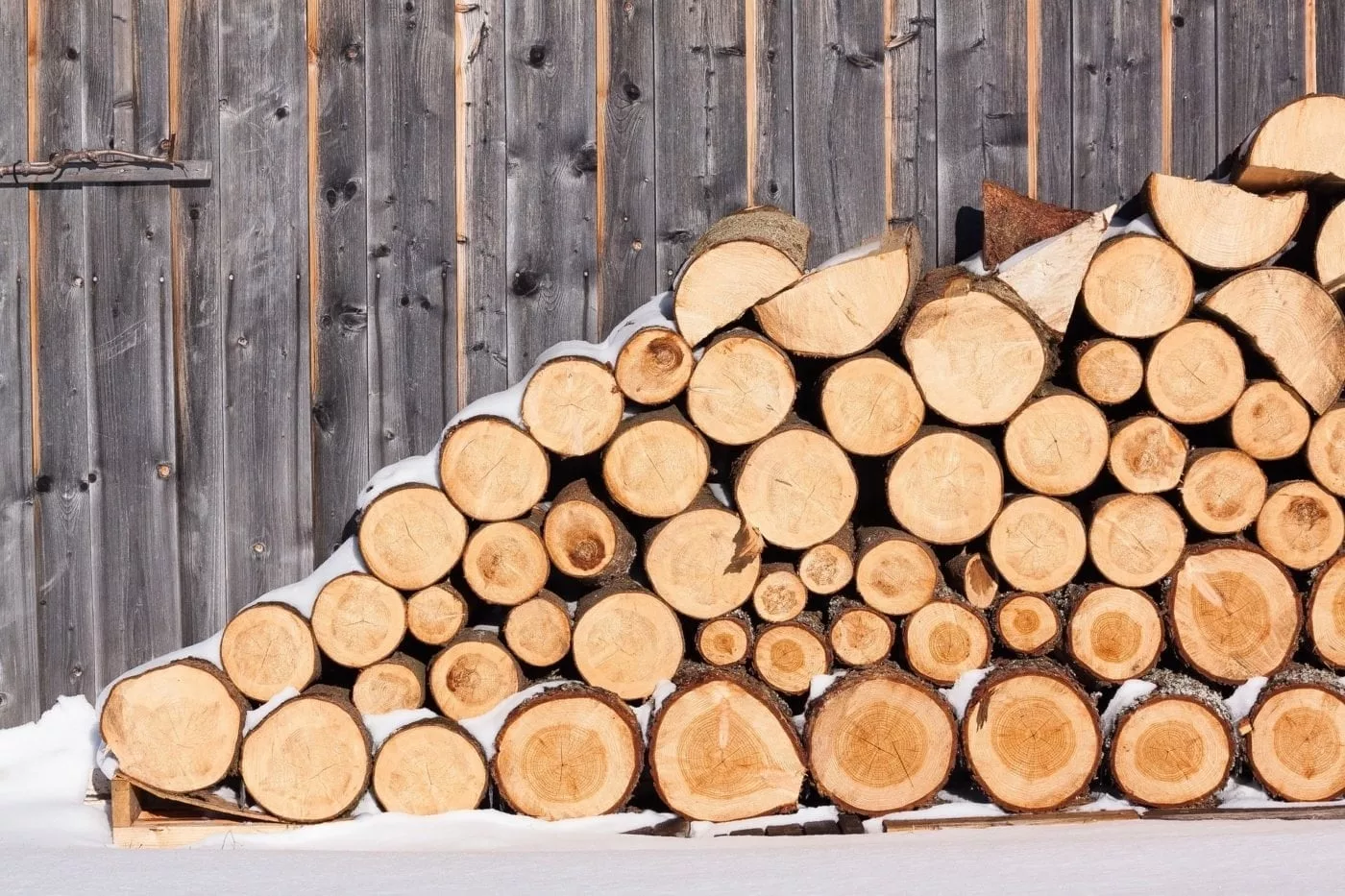 GPS tracker holz​