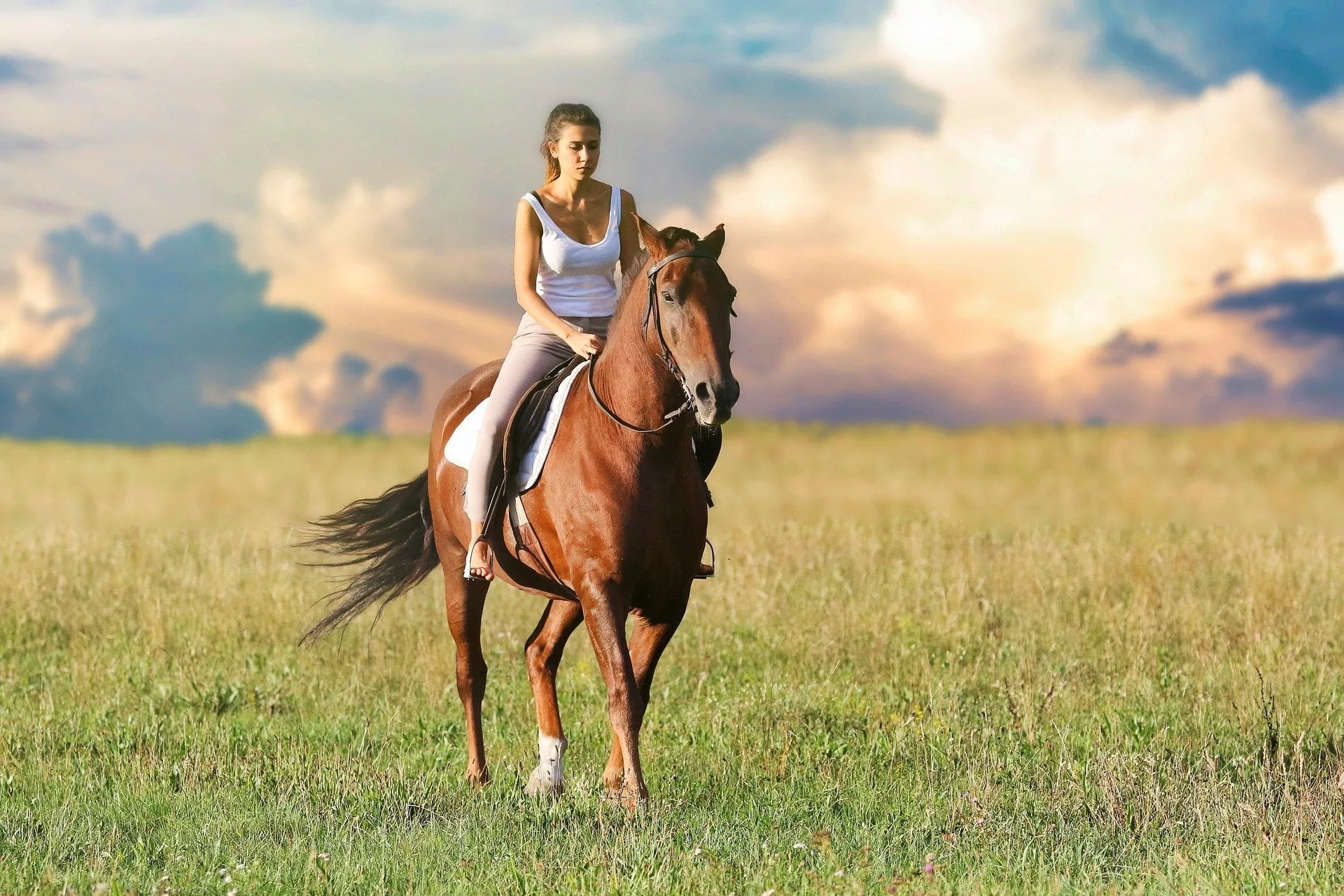 Mädchen, das auf einem Pferd durch die Landschaft reitet