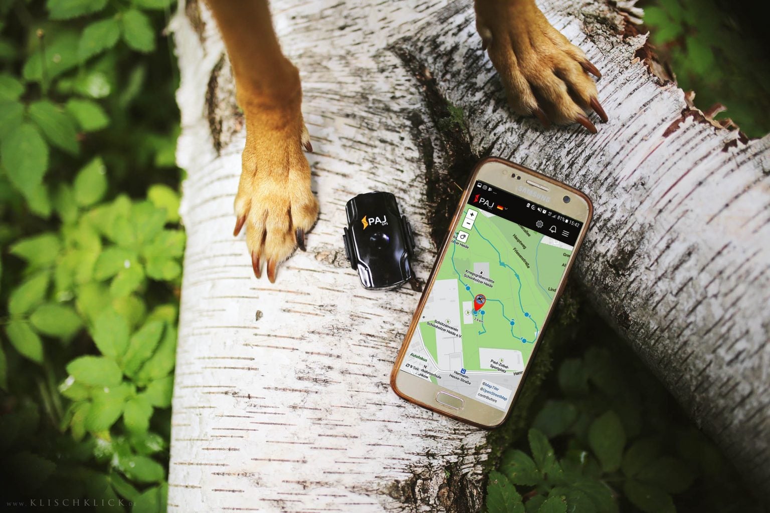 GPS Tracker Hund Welches ist das richtige GPS für Hunde? PAJ GPS