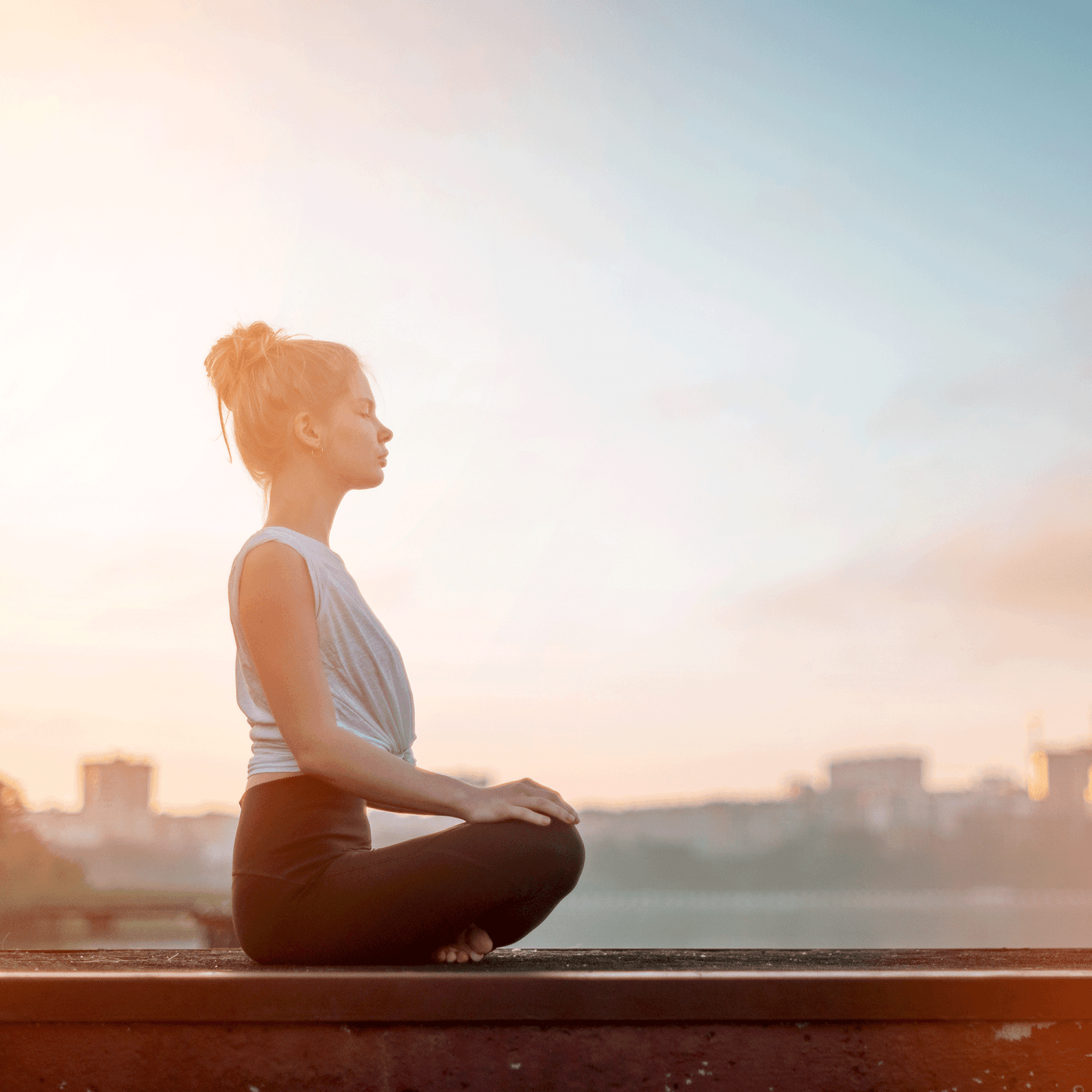 GPS Tracker Katze Welches ist das richtige GPS für Katzen?