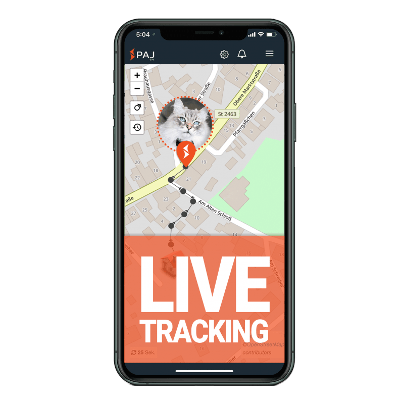 GPS Tracker Katze Welches ist das richtige GPS für Katzen?