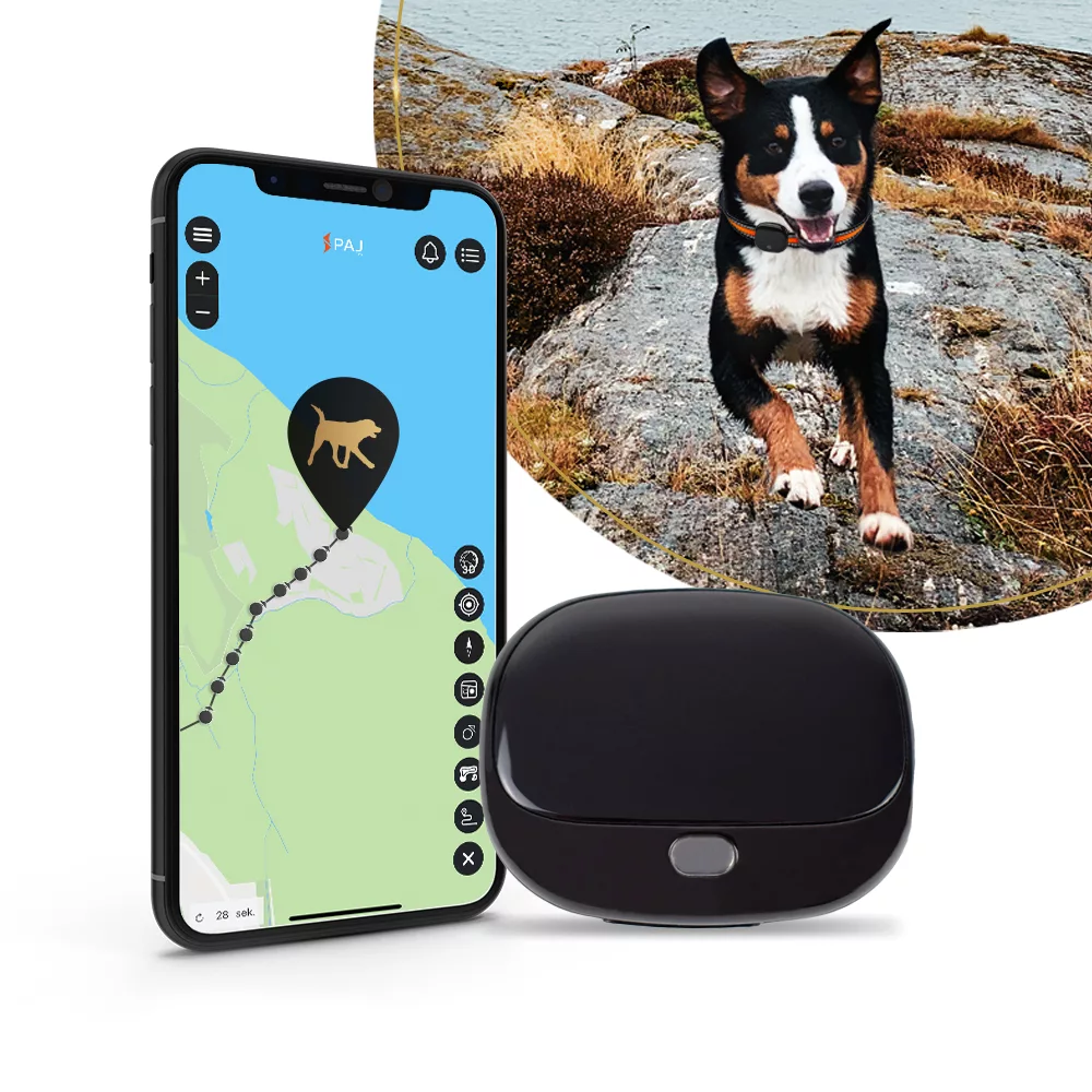 Titelbild PET Finder 4G PAJ GPS Tracker