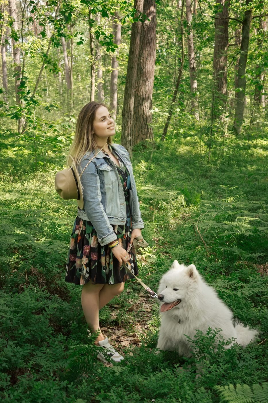 GPS Tracker Hund PET Finder 4G PAJ GPS