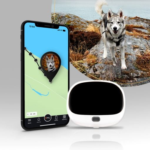 Titelbild PET Finder 4G Weiß GPS Tracker PAJ GPS