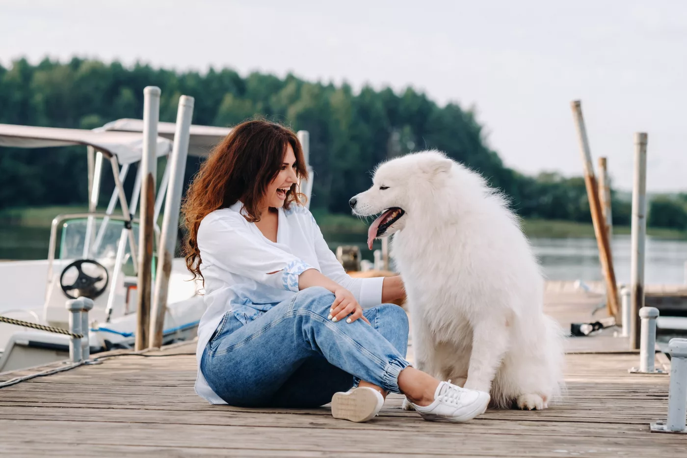 Mit dem Hund verreisen