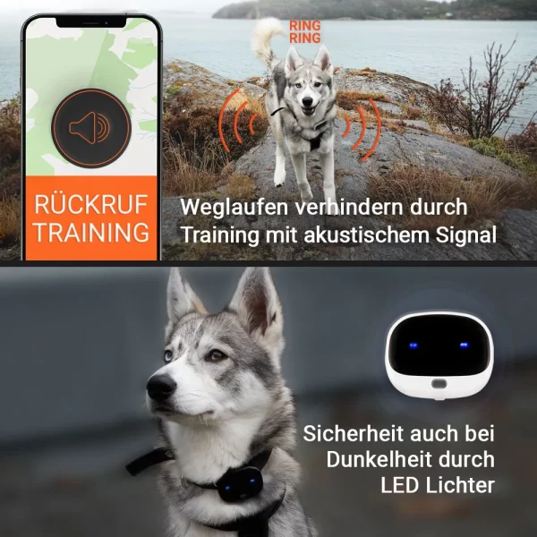 Anwendungsgebiete PET Finder 4G weiß PAJ GPS Tracker