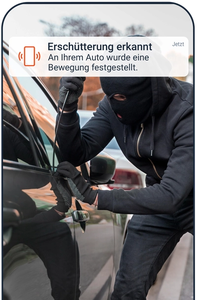 Vibration Alert: view in the FINDER Portal