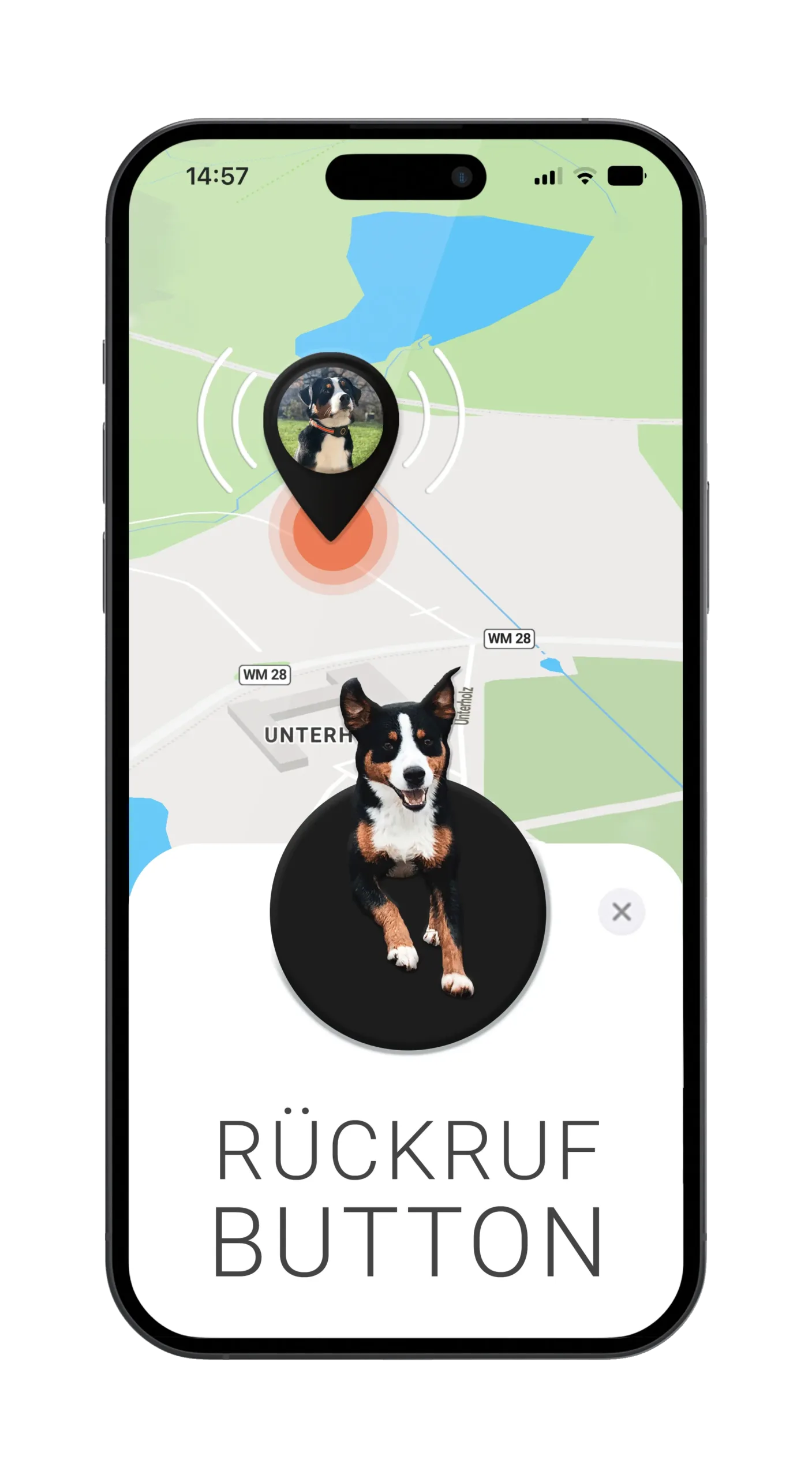 Mockup mit FINDER Portal, Hund und Rückruf-Button