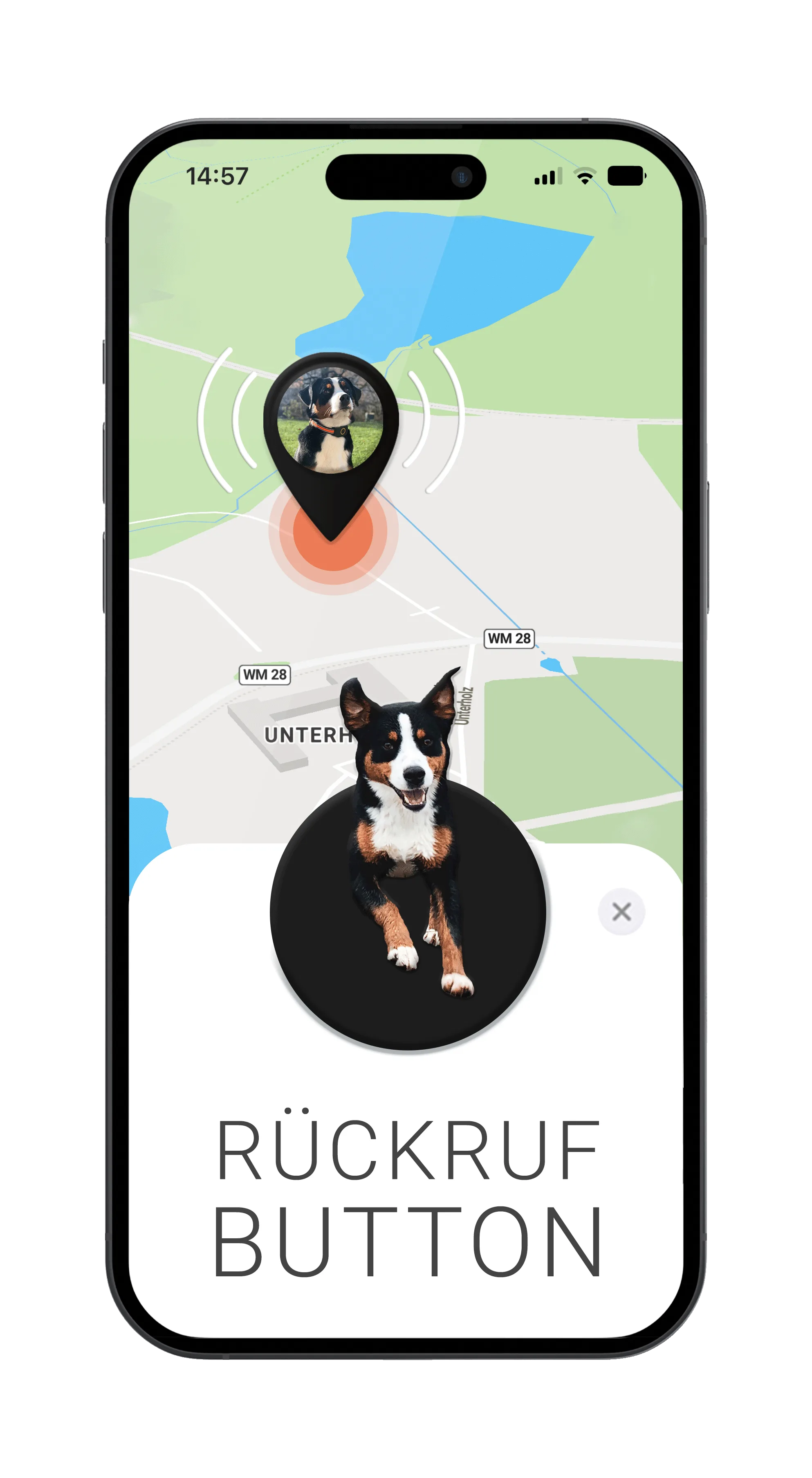 Mockup mit FINDER Portal, Hund und Rückruf-Button