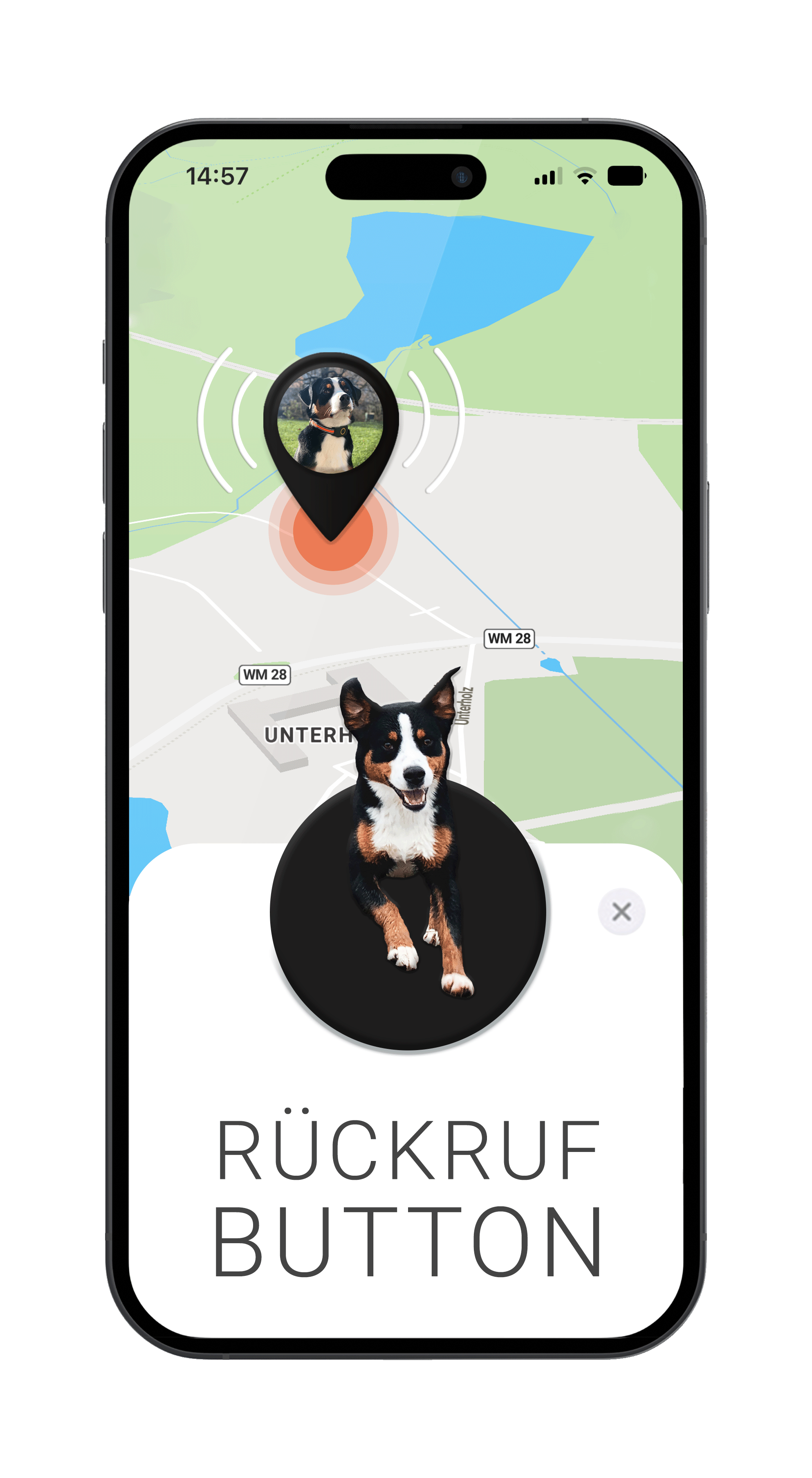 Mockup mit FINDER Portal, Hund und Rückruf-Button