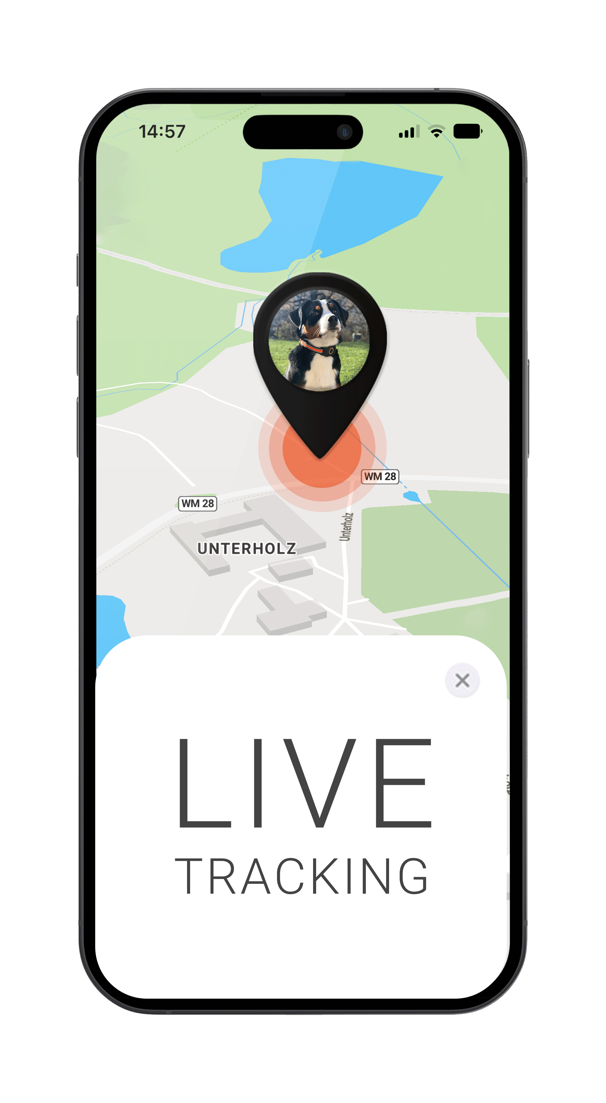 Mockup mit FINDER Portal, Hund und LIVE Tracking