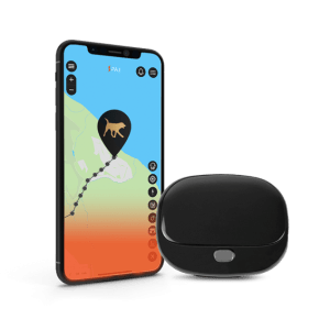 Produktbild mit Mockup PAJ PET Finder 4G schwarz