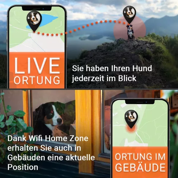 Live Tracking und WLAN-Ortung für PAJ PET Finder 2.0 PAJ GPS Tracker