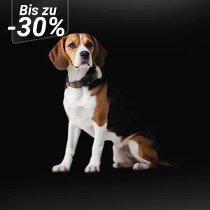 GPS Tracker Tiere