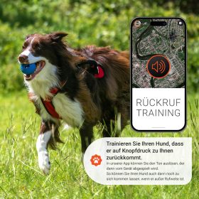 Hunde Trainingsfunktionen