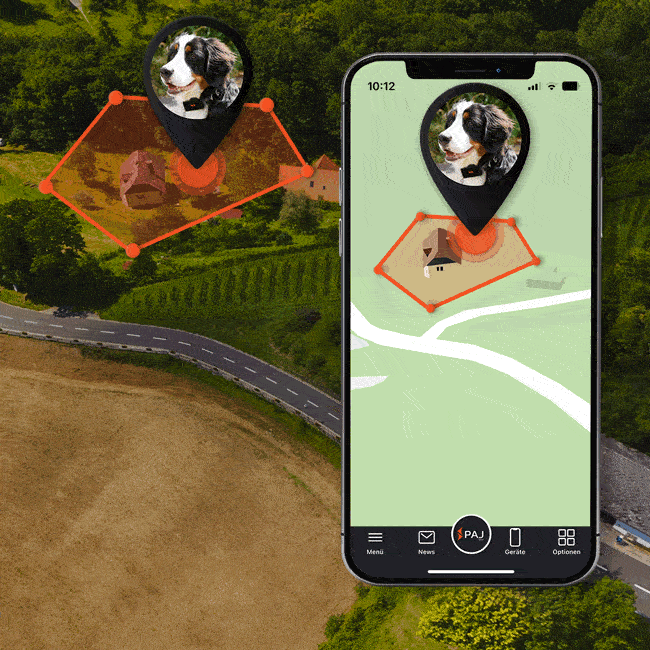 GPS Tracker für Hunde kaufen (2024) PAJ Hundetracker