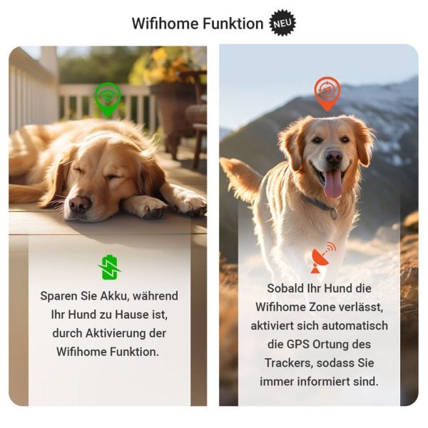 WIFI Home funktion