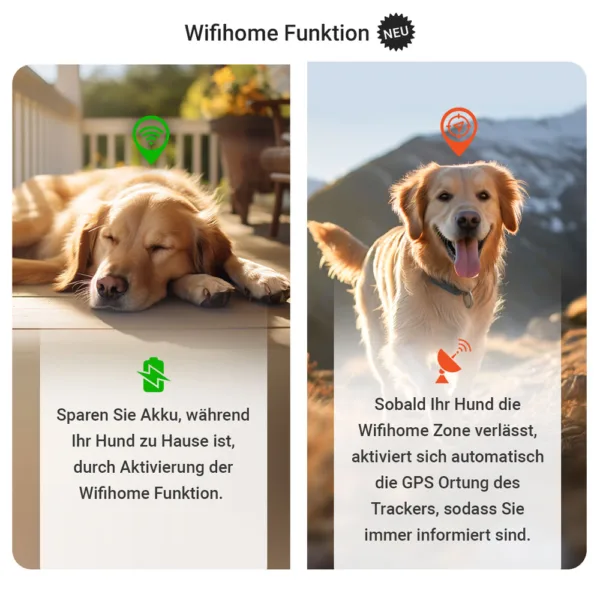 WIFI Home funktion