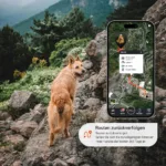 Weltweites Live-Tracking