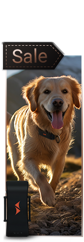 Sale auf GPS Tracker für Hunde im PAJ GPS Tracker Shop