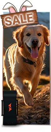 Oster Sale auf GPS Tracker für Hunde im PAJ GPS Tracker Shop