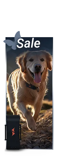 Rabatt auf GPS Tracker für Hunde: PAJ GPS Tracker