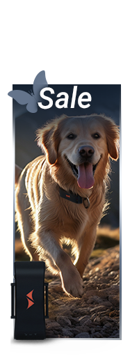 Rabatt auf GPS Tracker für Hunde: PAJ GPS Tracker