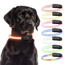 PAJ LIGHT in schwarz: LED Halsband für Hunde von PAJ GPS