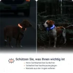 Hohe Sichtbarkeit PAJ LIGHT in schwarz: LED Halsband für Hunde von PAJ GPS