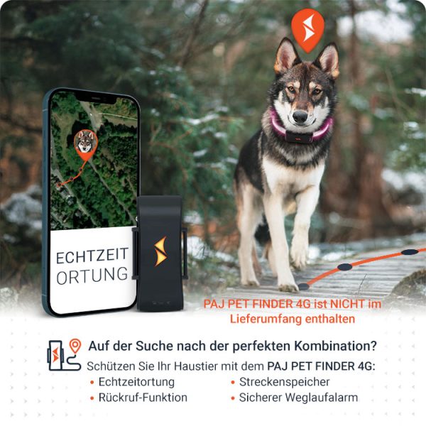 Kombination mit PET Finder PAJ LIGHT in schwarz: LED Halsband für Hunde von PAJ GPS