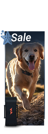 Rabatt auf GPS Tracker für Hunde im PAJ GPS Tracker Shop