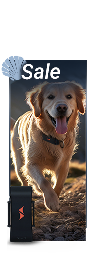 Sale auf PAJ GPS Tracker für Hunde!