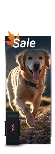 Sale auf PAJ GPS Tracker für Hunde