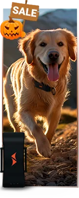 Sale auf PAJ GPS Tracker für Hunde
