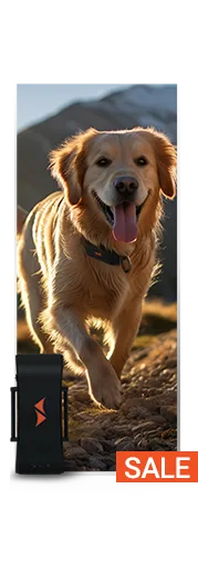 Sale auf PAJ GPS Tracker für Hunde