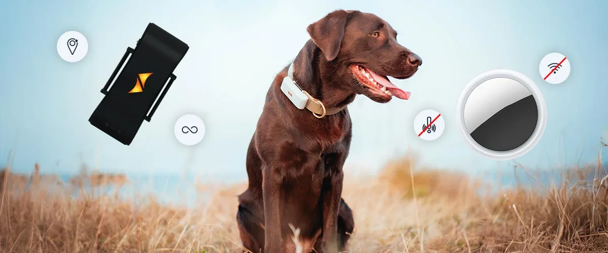 Traceur GPS pour chien contre les traceurs Bluetooth