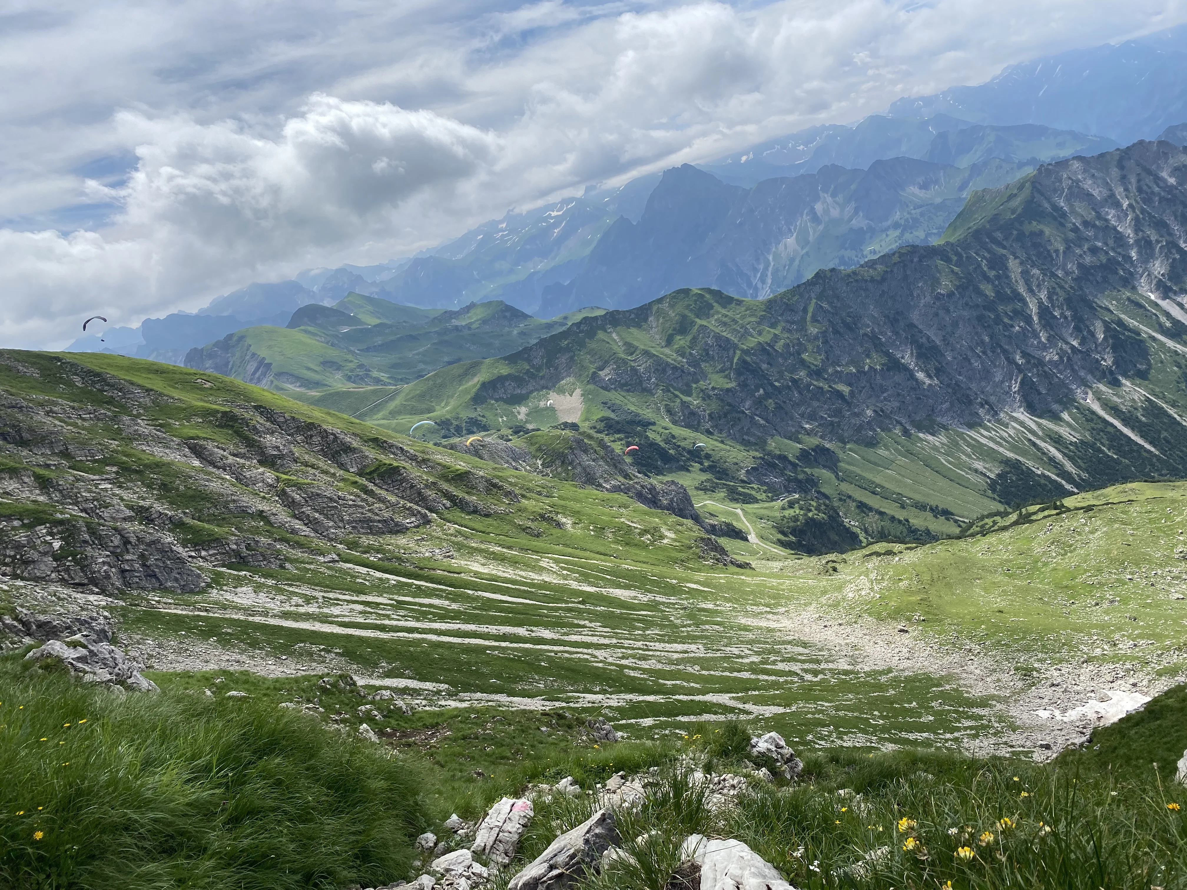 PAJ stories People finder