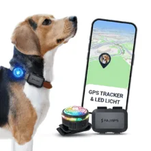 PET Finder 4G Mini: PAJ GPS Tracker für Hunde inkl. LED-Licht