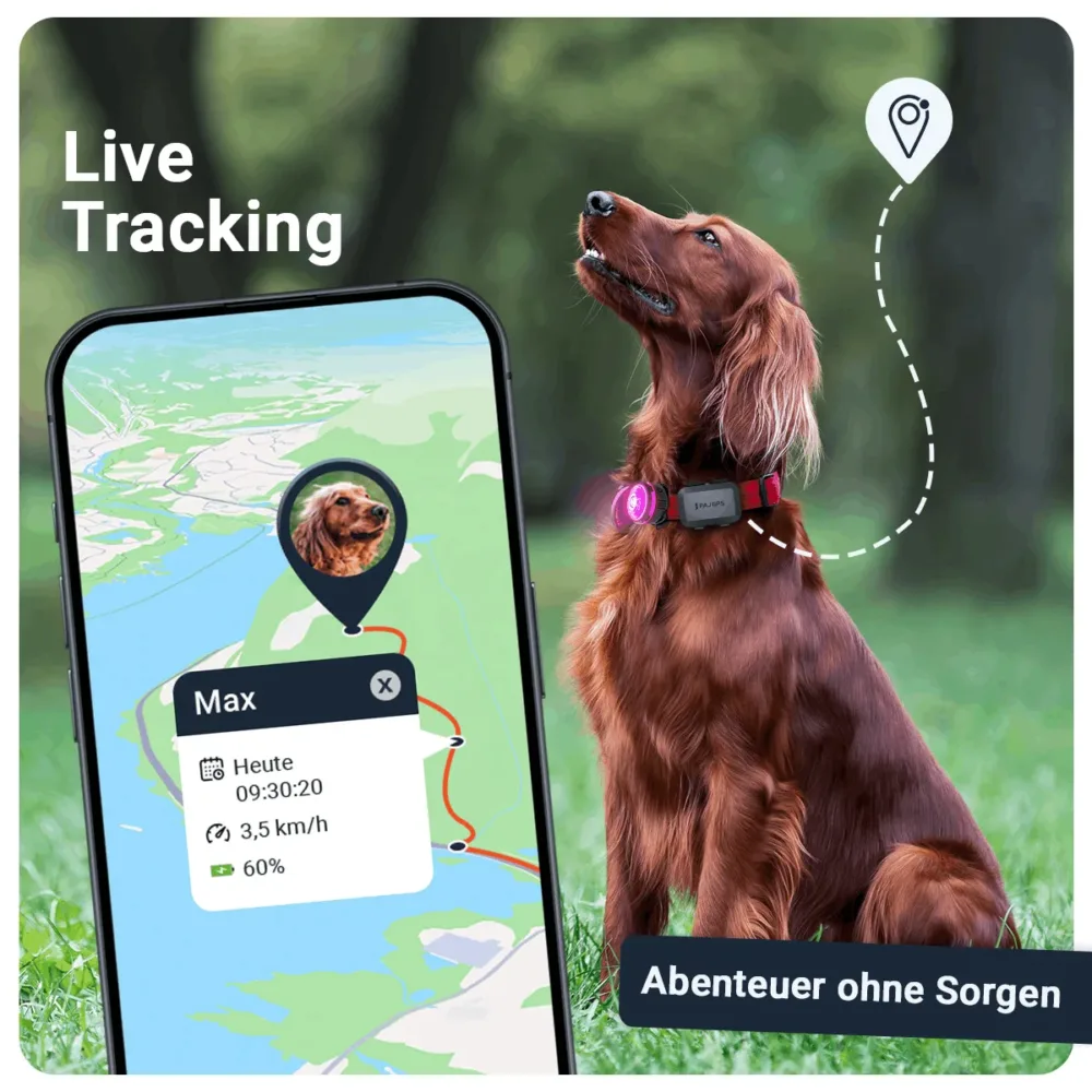 PET Finder 4G Mini: pet gps tracker mit Live-Tracking