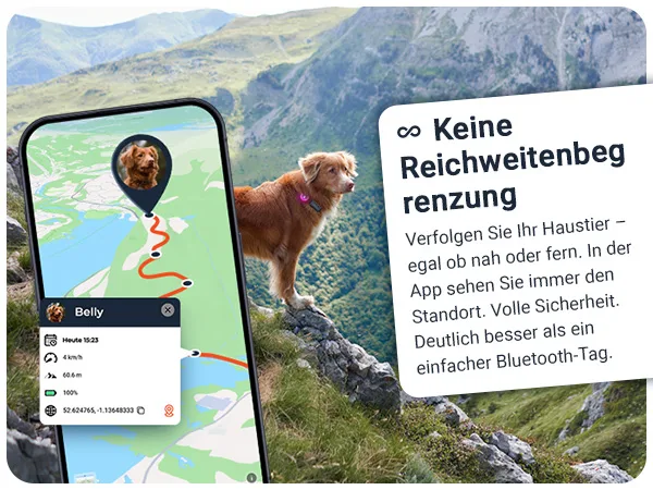 PET Finder 4G Mini: Live-Tracking ohne Reichweitenbegrenzung