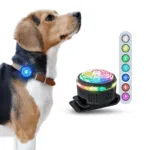 PAJ Light Mini: LED Licht für Hunde