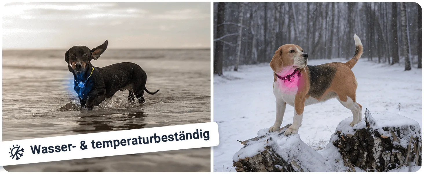 PAJ LIGHT Mini: Wasser- und temperaturbeständig.