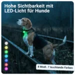 Hohe Sichtbarkeit mit dem PAJ LIGHT Mini