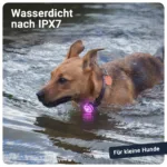 PAJ LIGHT Mini: 100% Wasserdicht