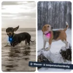 PAJ LIGHT Mini: Wasser- und temperaturbeständig.