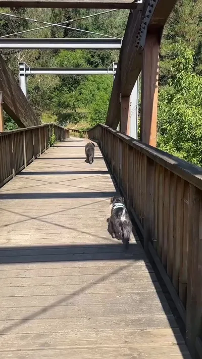 sua.onix_.sora_and.famil-2